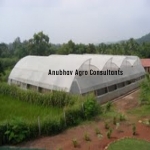 GREEN HOUSE CONSULTANCY